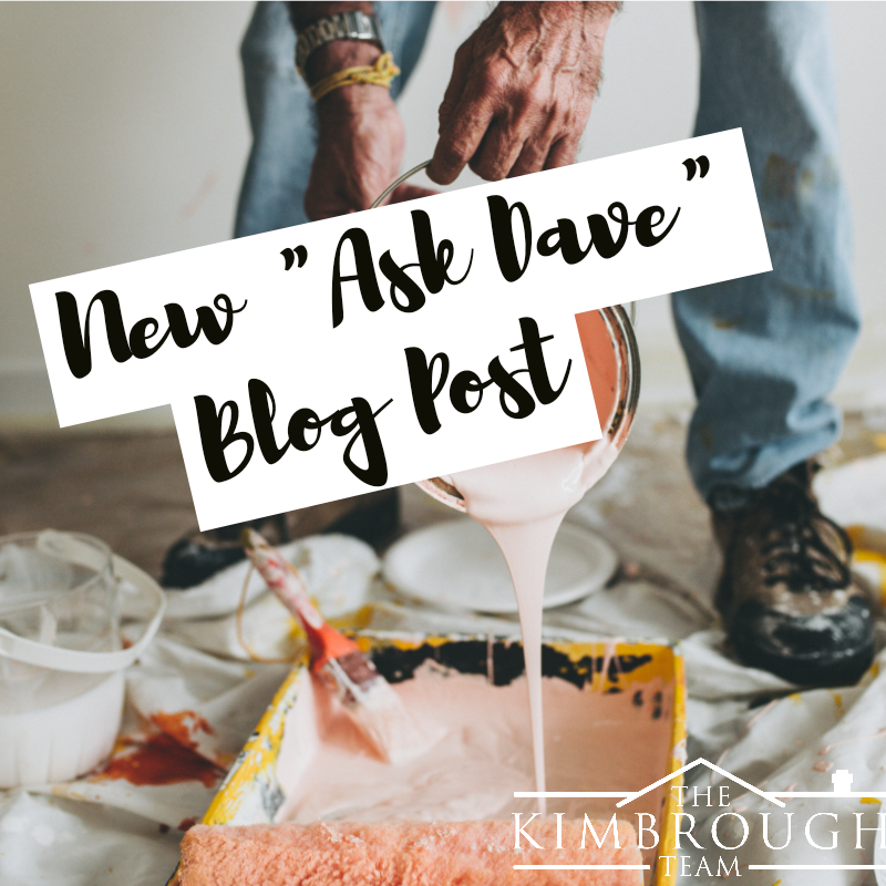 Best bold paint choices for your home