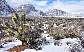 NOVEMBER 2024 Monthly Housing Market Update - LAS VEGAS / CLARK COUNTY - NEVADA