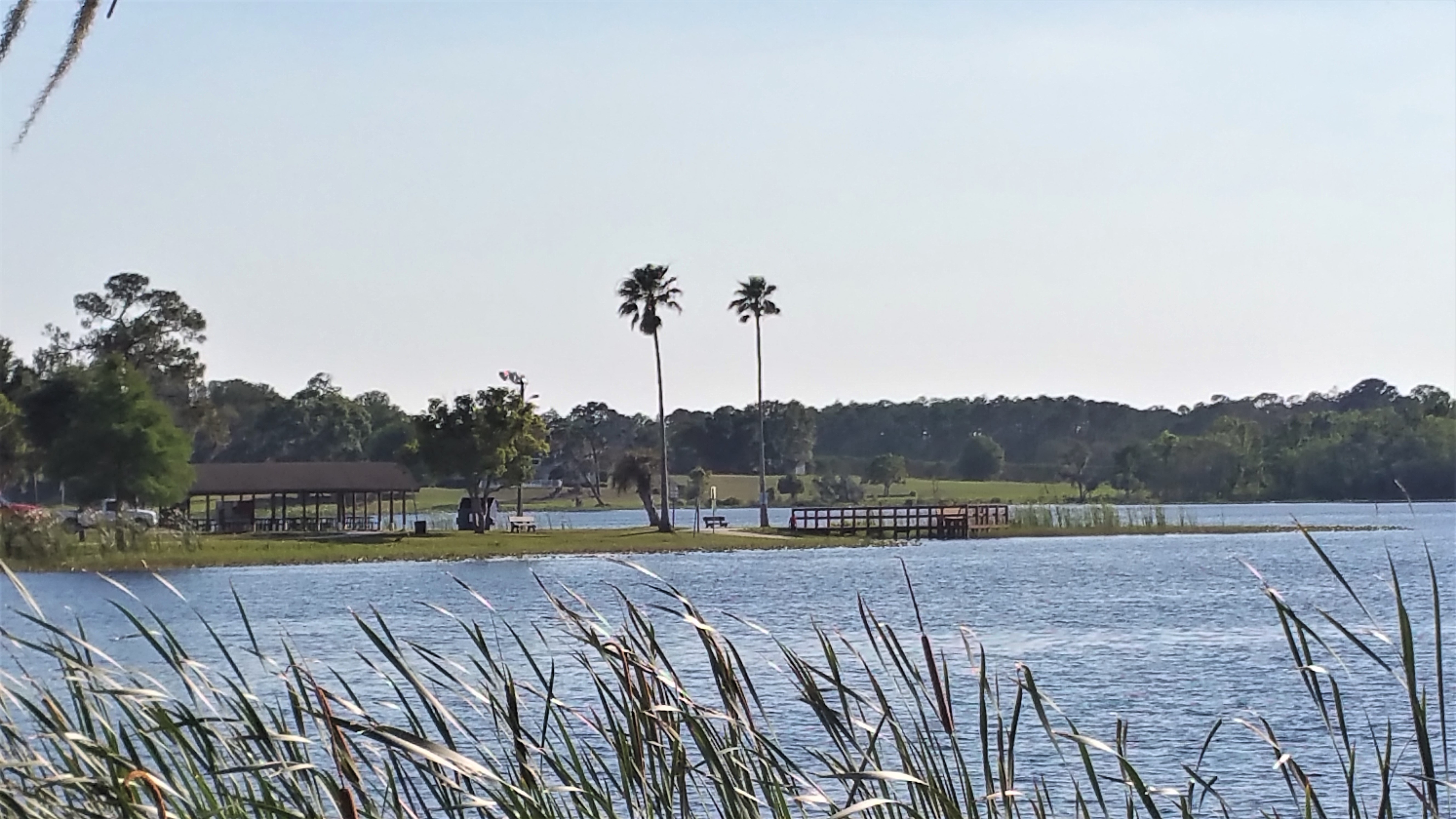 Groveland Lake County Florida: A Captivating Destination for Nature ...