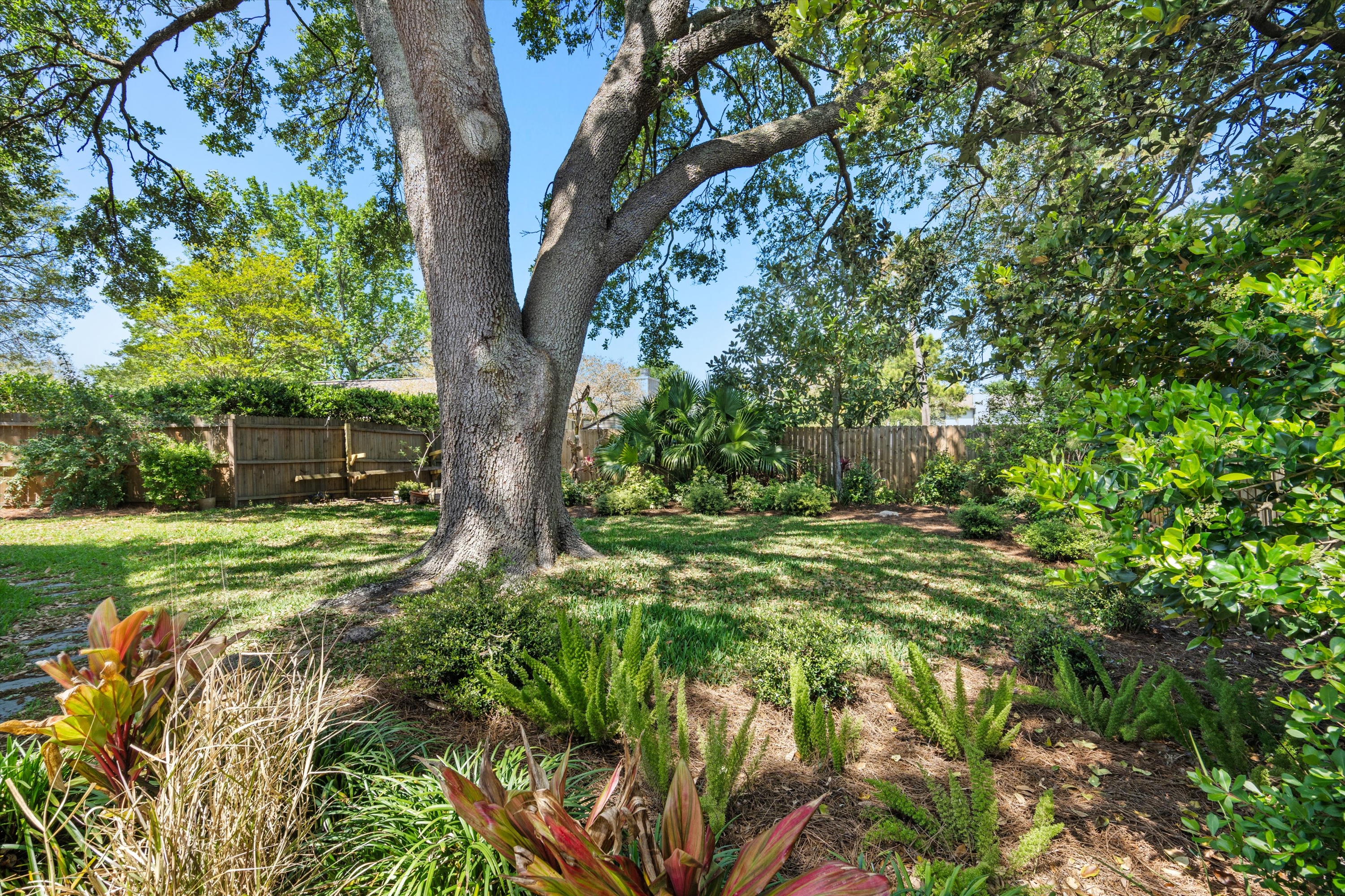 30-Backyard.jpg