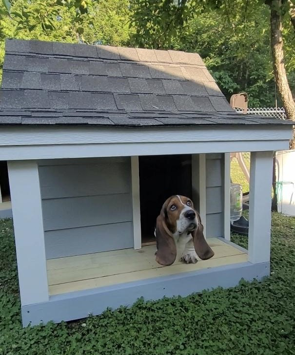 medium-doghouse-wporch-on-side-and-bassett-hound_orig.jpg