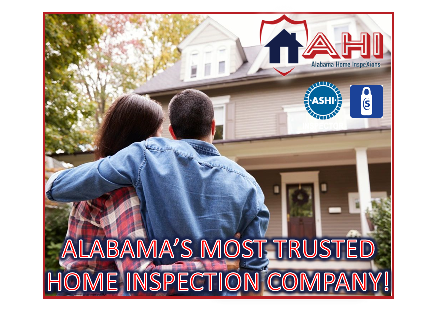 ALABAMA HOME INSPEXIONS - DIGITAL AD 2 (1).png