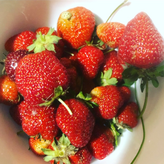 Strawberries.JPG