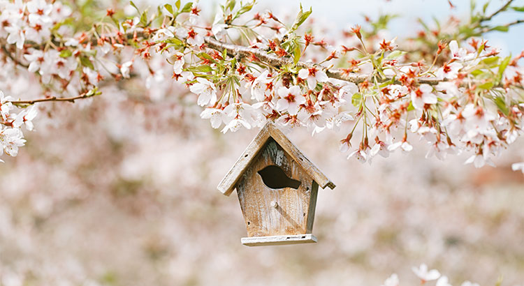 20190327-Share-KCM.jpg