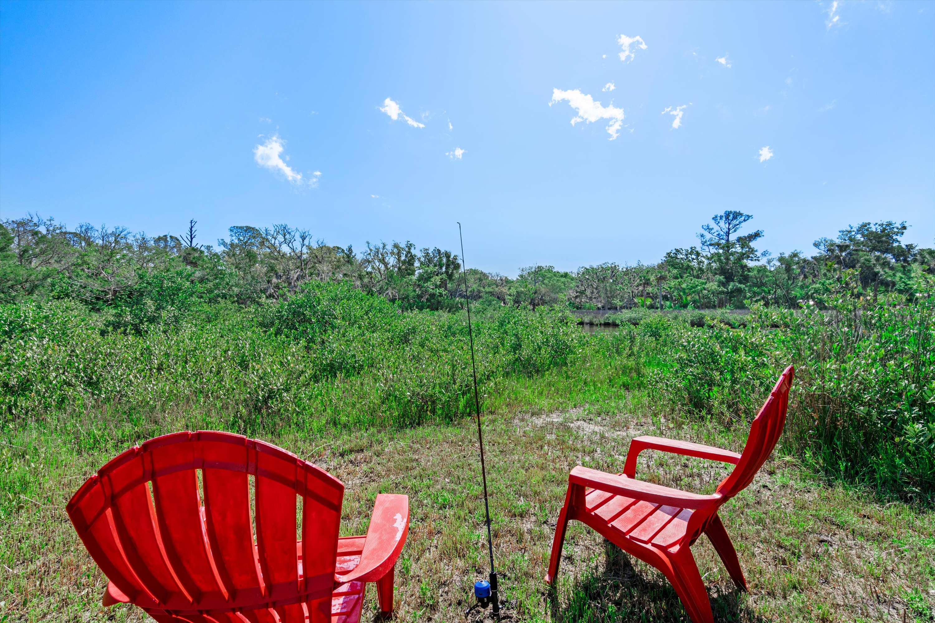 22-Backyard.jpg