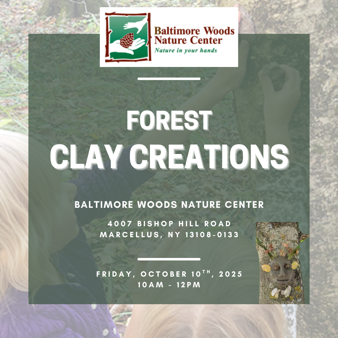 Unleash Your Creativity at Forest Clay Creations