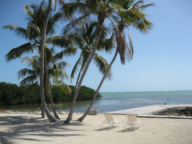 Is the Florida Keys real estate market active? Get an honest update on buyers, sellers, and waterfront properties.