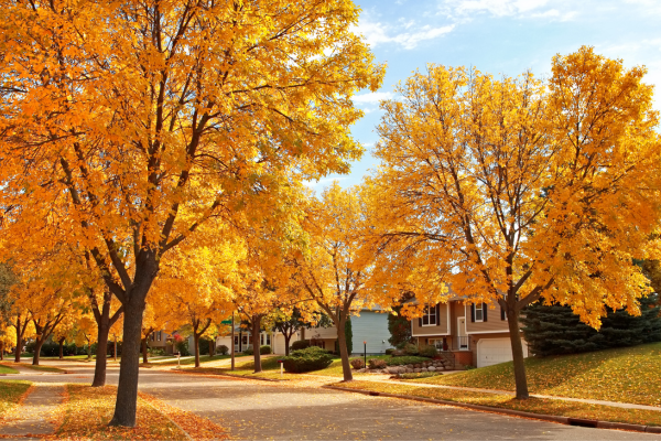 2026 Housing Market Outlook