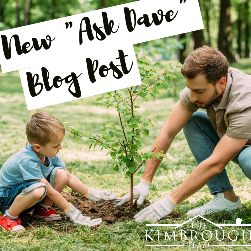 BEST TREES TO PLANT AT YOUR HOUSE