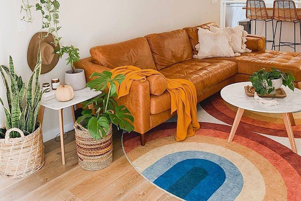 Round-rainbow-rug-with-brown-leather-couch-and-plants-in-living-room.jpg