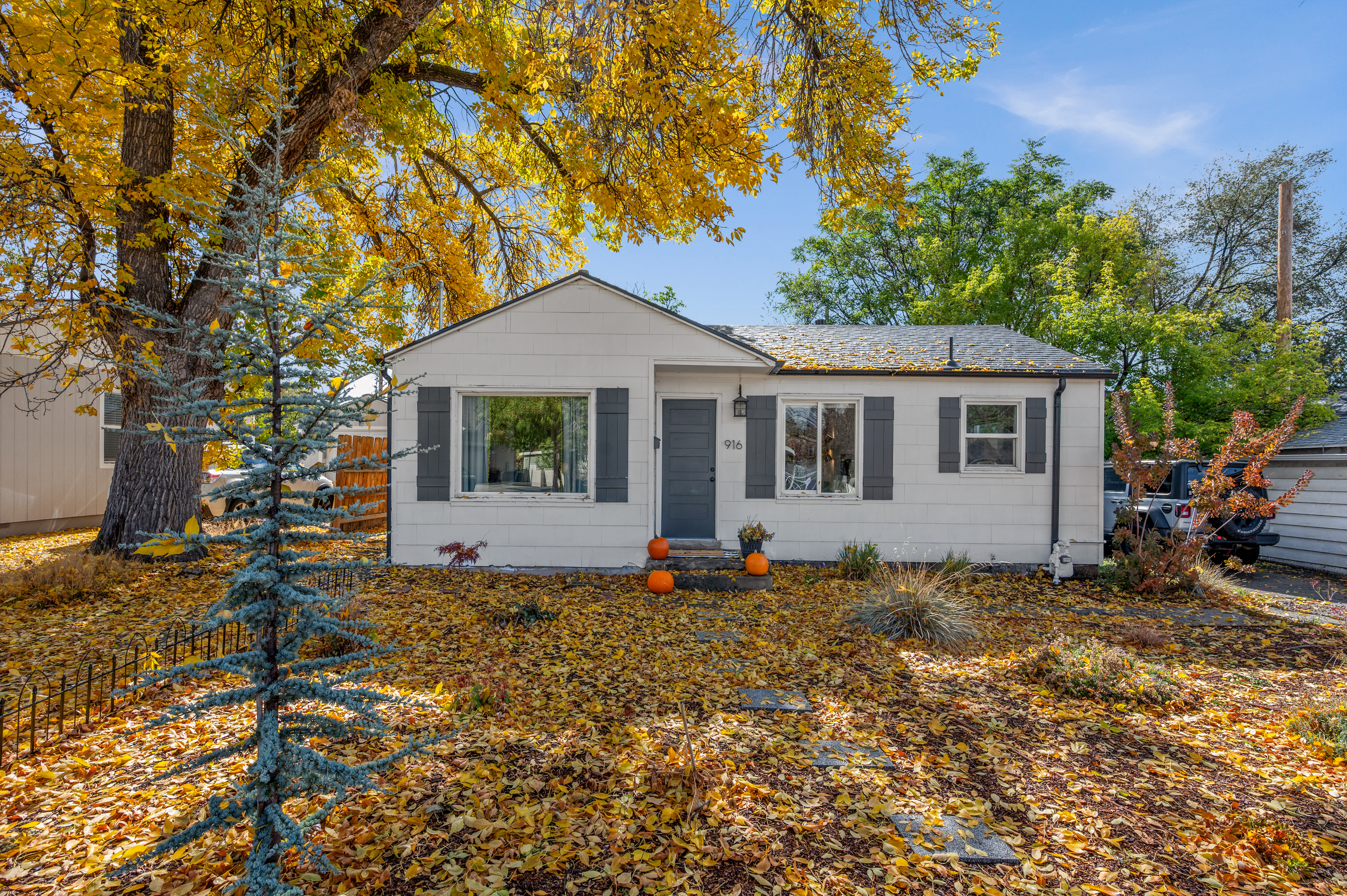 Forest View | SALE PENDING