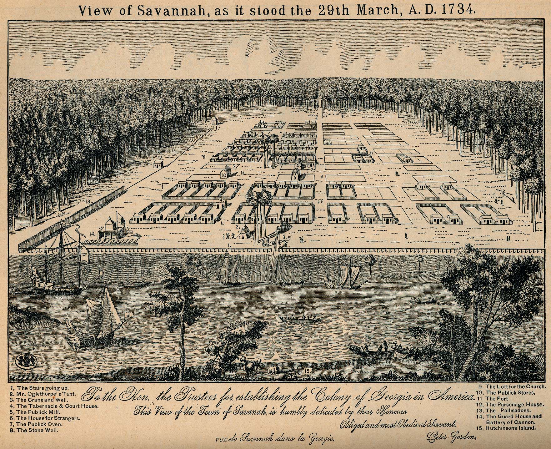 savannah_1734.jpg