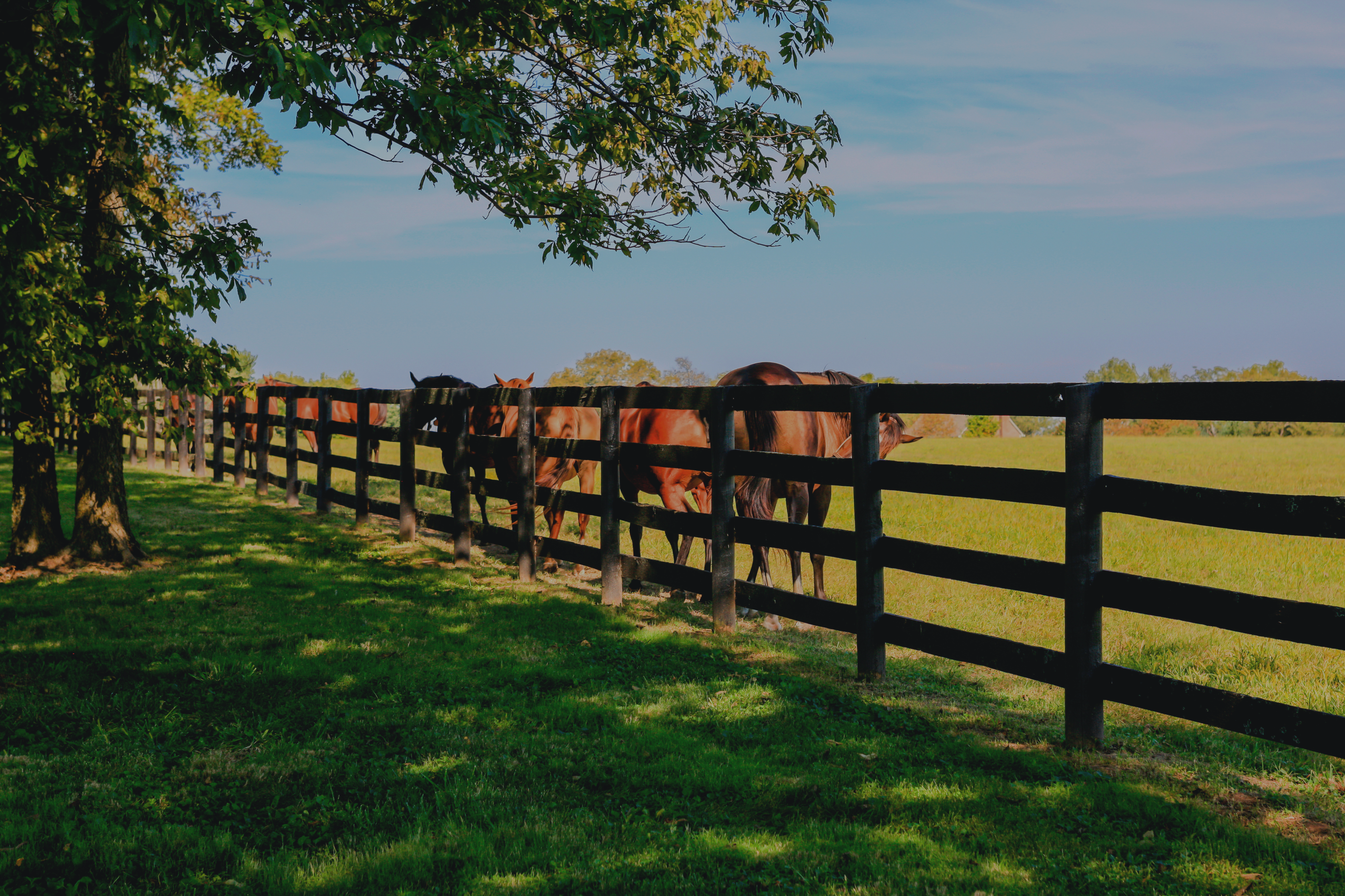 Union Kentucky: The Modern Frontier