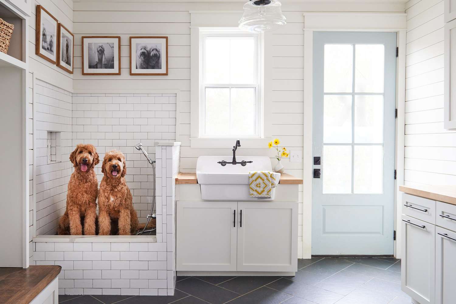 two-dogs-in-a-dog-wash-station-2000-95e1c34be2994c80b3a3197e2f5118da.jpg